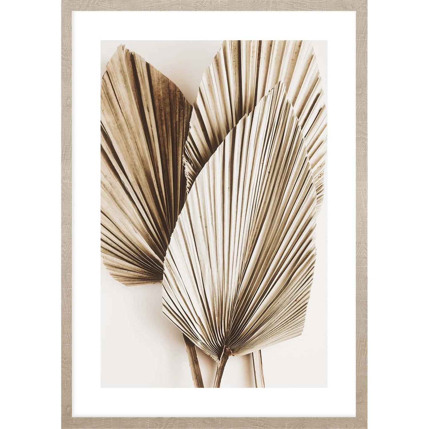 ARS LONGA Obraz PALM LEAVES no.1 53 x 73 cm
