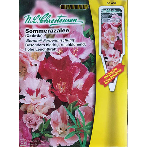 1 pac, Godetia, mix multicolor - Semințe: Mod de ambalare: 1 pac