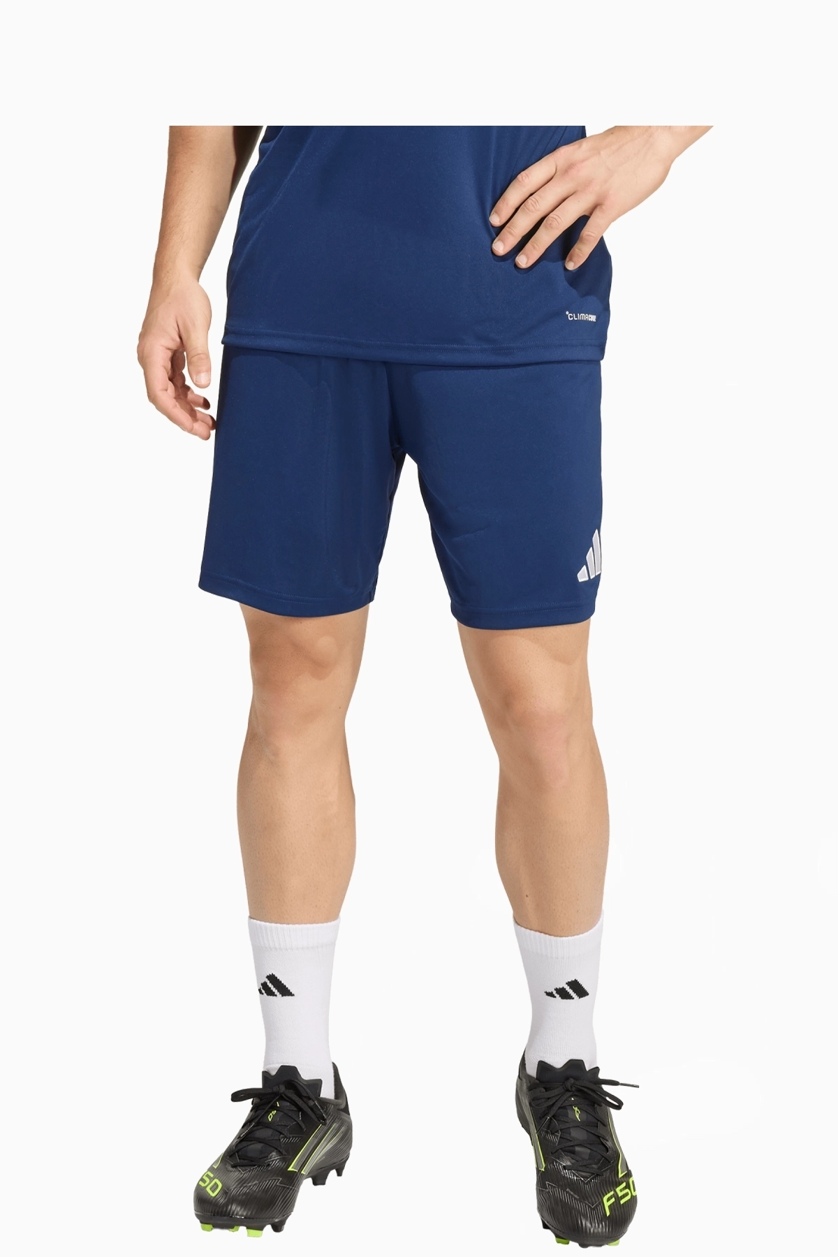 Spodenki adidas Beniaminek Rzeszów - Granatowy