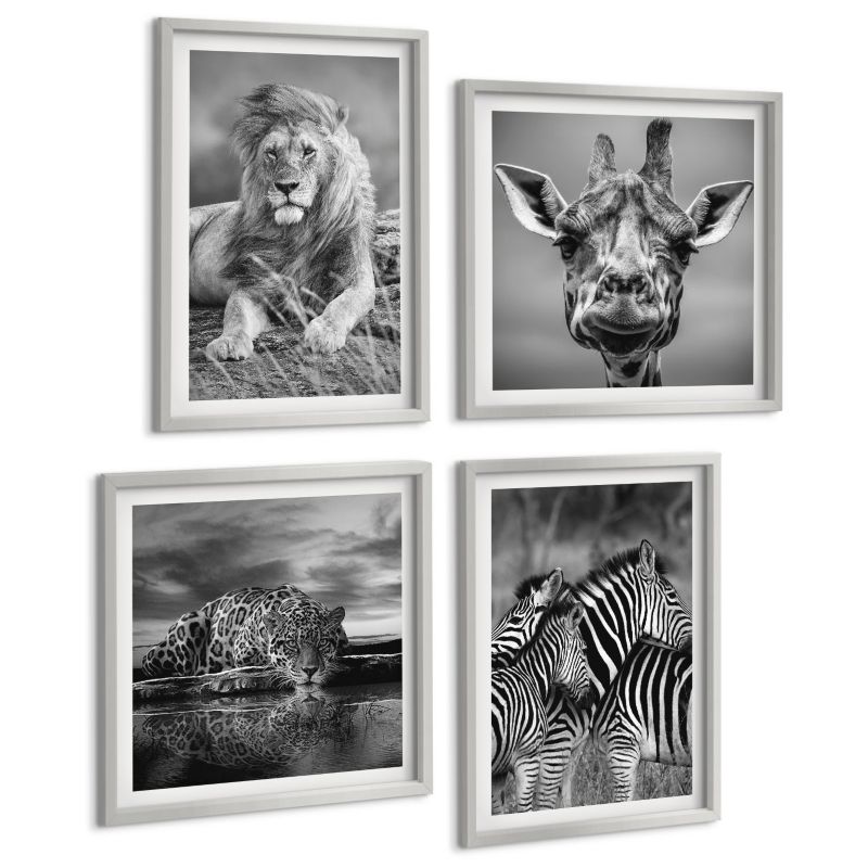 Czteroczęściowy Zestaw Obrazów ArtPrintCave (2x50x50+2x40x60cm) Srebrna rama Dzikie Zwierzęta Lew Jaguar Żyrafa Zebry 1 kpl.