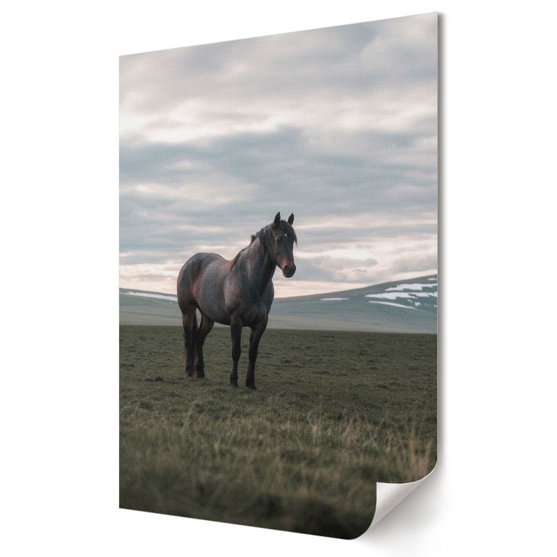 Plakat canvas Wallfluent Format A2 Poranny spokój Artysta SoliN 1 szt.