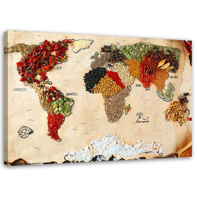 Obraz na płótnie Feeby Mapa z przypraw świata 100x70cm 1szt
