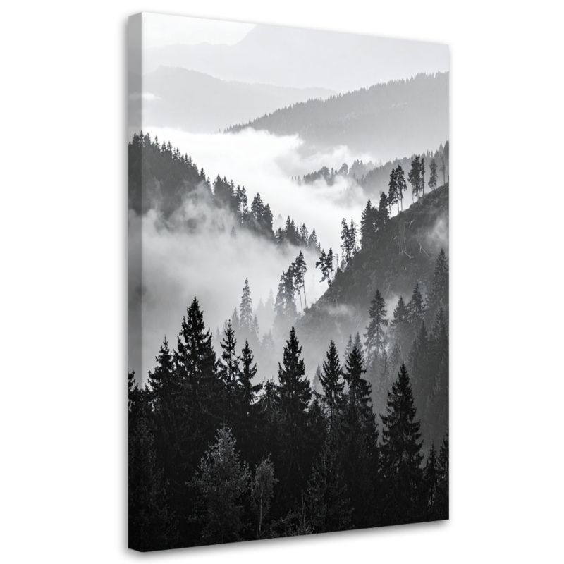Obraz nowoczesny Feeby Góry Las Drzewa Czarno Biały 60x90cm 1szt