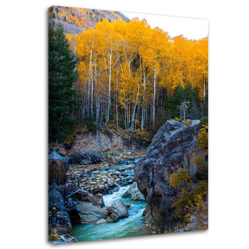 Obraz Feeby Strumień górski skały las drzewa natura 40x60cm 1szt
