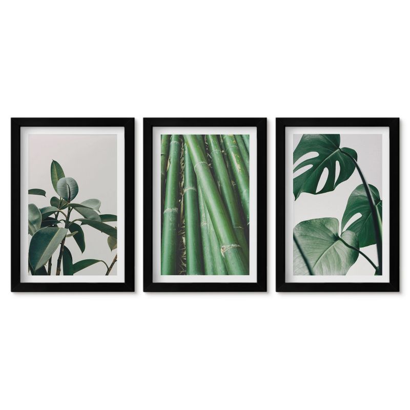 Komplet obrazów czarna rama Tulup 20x30 cm Bambusowe łodygi i liście monstera Obrazy w czarnej ramie 1 kpl
