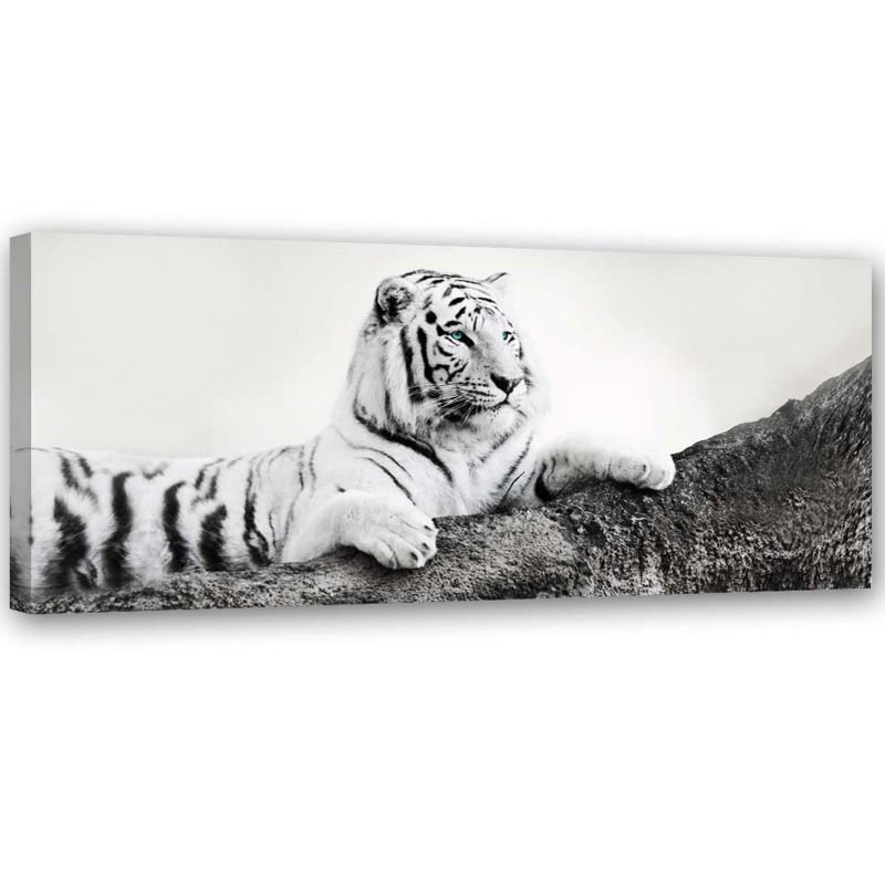 Obraz do salonu biura Feeby Tygrys Zwierzeta Natura Czarno - Biały 120x40cm 1szt