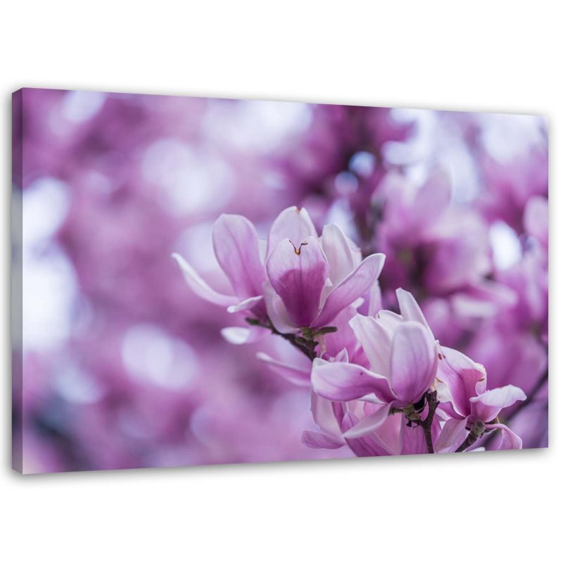 Obraz na płótnie Feeby Kwiaty magnolii 60x40cm 1szt
