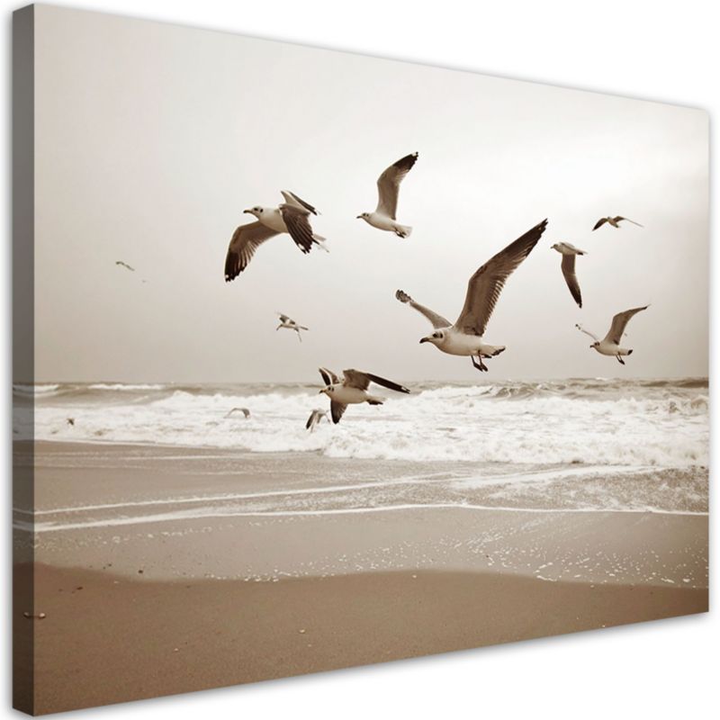 Obraz do salonu kuchni biura Feeby Mewy ptaki morze plaża natura 90x60cm 1szt