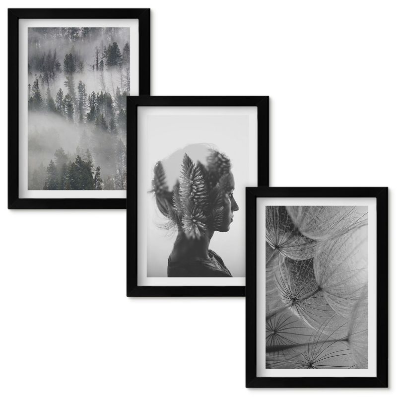 Zestaw obrazów Wallfluent Las mgła portret drzewa dmuchawiec Czarna rama 20x30cm 3 szt.