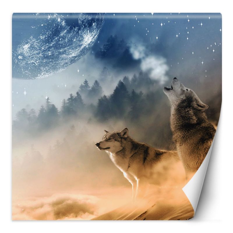 Fototapeta Feeby Wilk księżyc las we mgle 100x100 1 szt