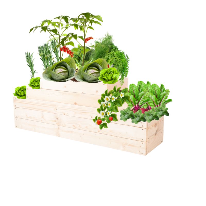 Skrzynia warzywna MODO24 kaskadowa 45x117x30 cm naturalne drewno 1 szt