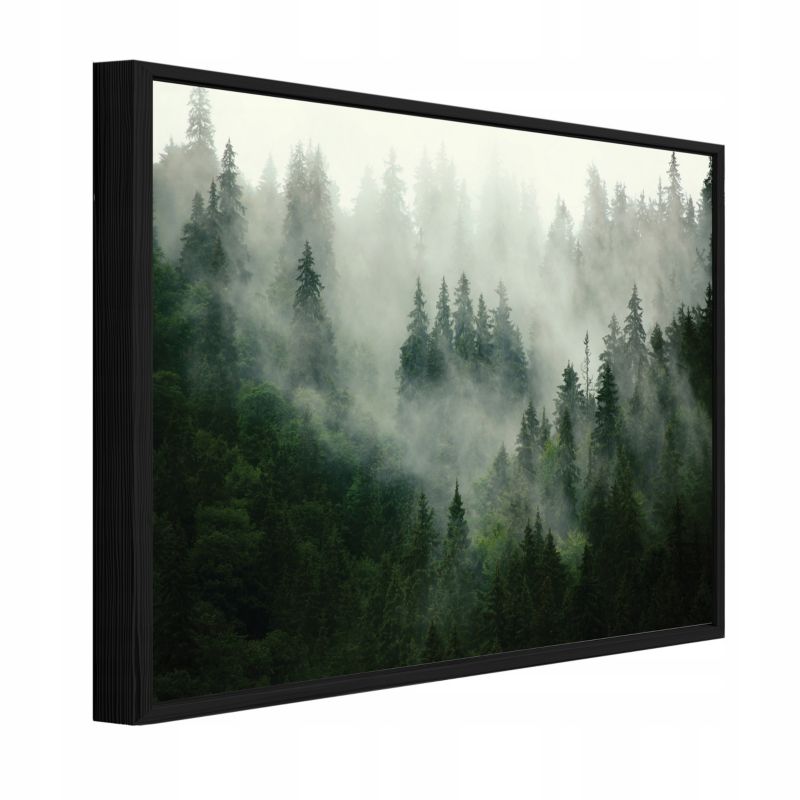 Obraz W Ramie WALLARENA Do Sypialni Salonu Na Płótnie Las Natura Mgła Zielony 120x80 cm PPR13026O20 1 szt.
