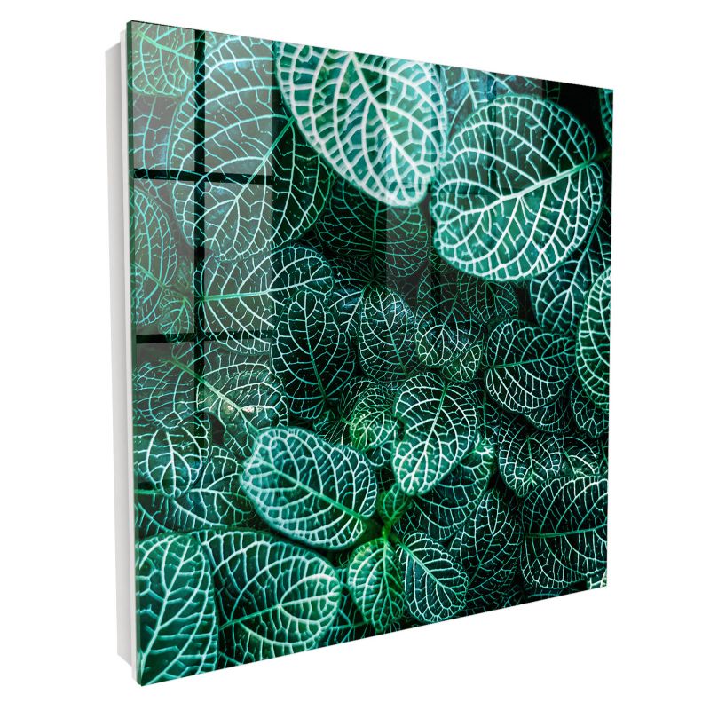 Skrzynka Na Klucze Szkło Hartowane Tulup 30x30 cm Zielone wzory - Biała - Otwierana na prawo 1 szt.