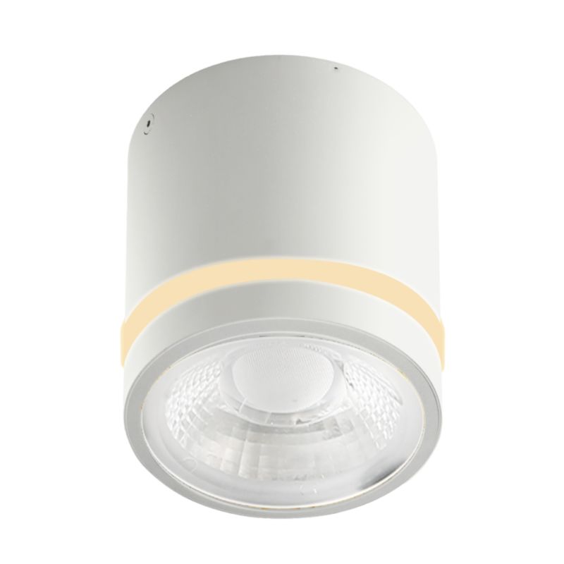 Lampa Sufitowa Azzardo Vici Ip44 12W Cct Switch Wh 1 szt.