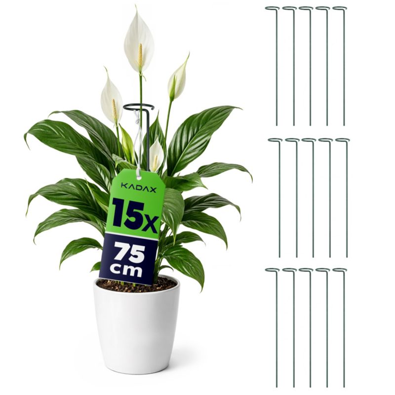 Podpora KADAX z oczkiem 75 cm stalowa zielona 15 szt.