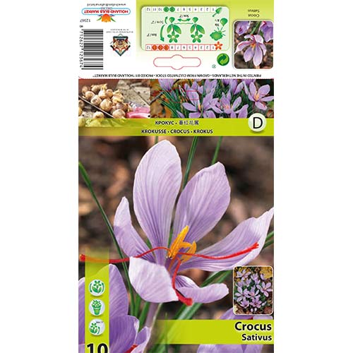 Krokus Sativus - Cebule: Ilość w opakowaniu: 10 szt. - GradinaMax