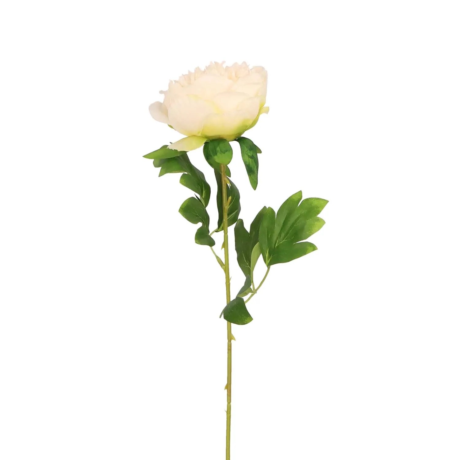 Piwonia kremowa sztuczna gałązka - 60 cm