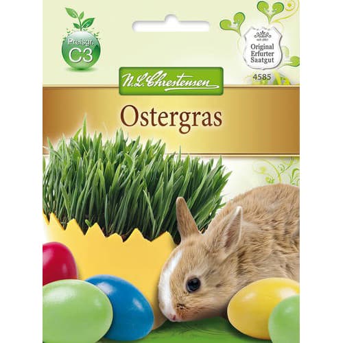 1 szt, Ostergras Chrestensen - Samen: Ilość w opakowaniu: 1 Stück