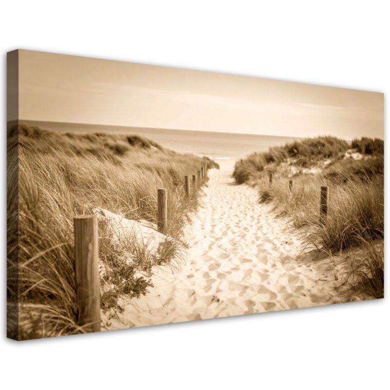 Obraz do salonu sypialni biura Feeby Ścieżka na plażę krajobraz vintage 100x50cm 1szt