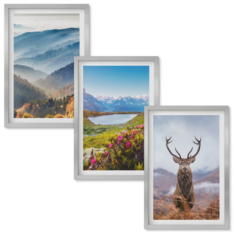 Obraz Ścienny Zestaw Wallfluent Górskie jezioro jelenie natura Srebrna rama 40x60 cm 3 szt.