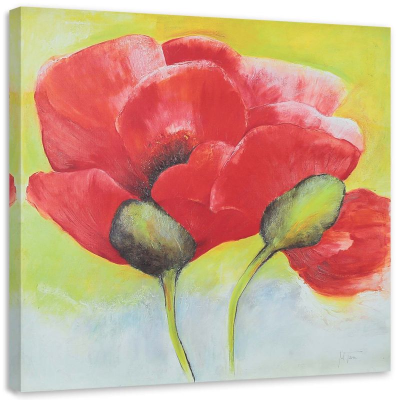 Obraz na płótnie Feeby Dwa maki z bliska 40x40cm 1szt