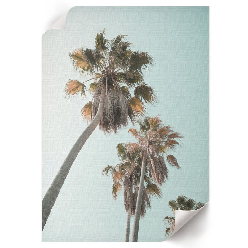 Plakat ArtPrintCave 42x59,5 cm Tropikalne palmy Soft Structure 1 szt.