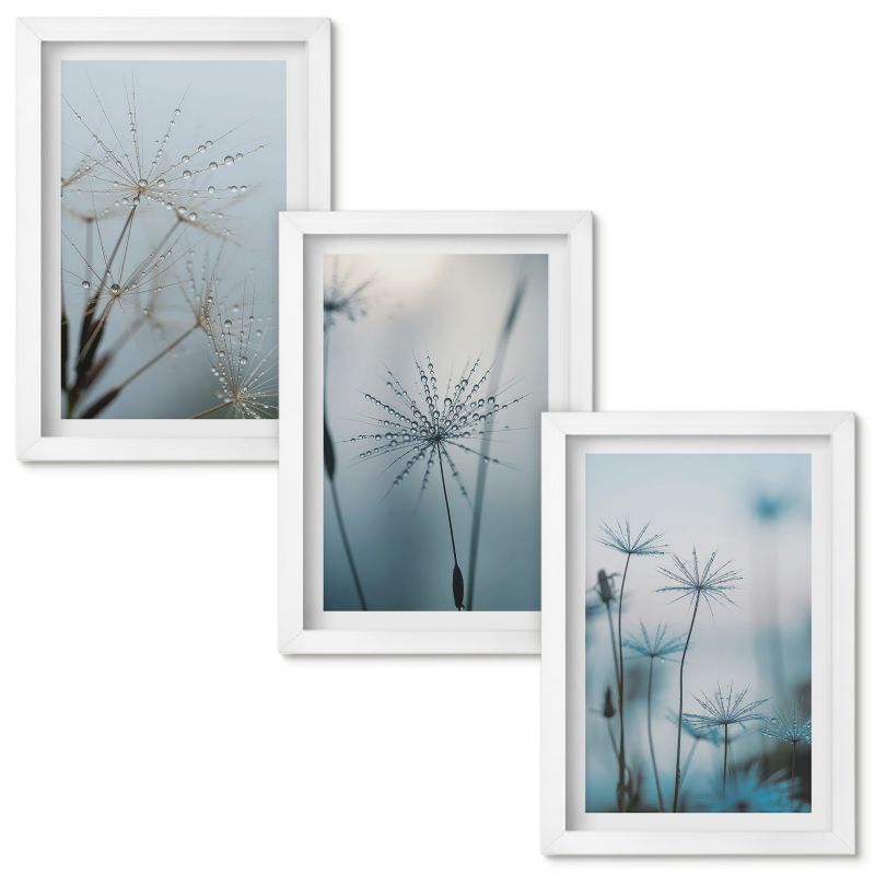 Obrazy Do Sypialni Wallfluent Dmuchawce z kroplami wody Biała rama 20x30cm 3 szt.