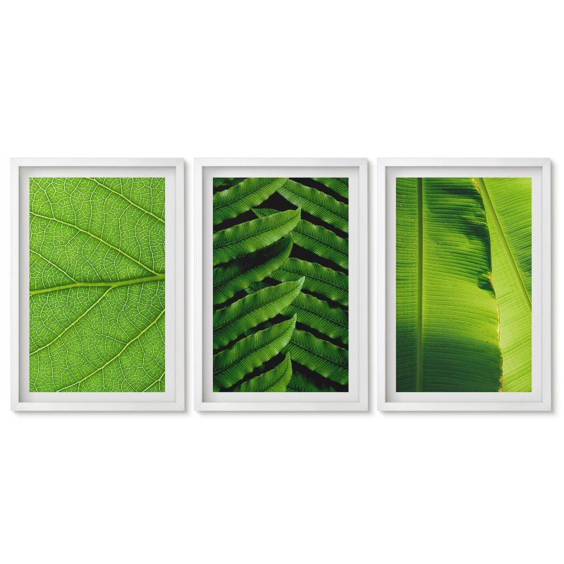 Obrazy w białej ramie Tulup 40x60 cm Liście tropikalne makrofotografia Dekoracja ścienna do przedpokoju 1 kpl