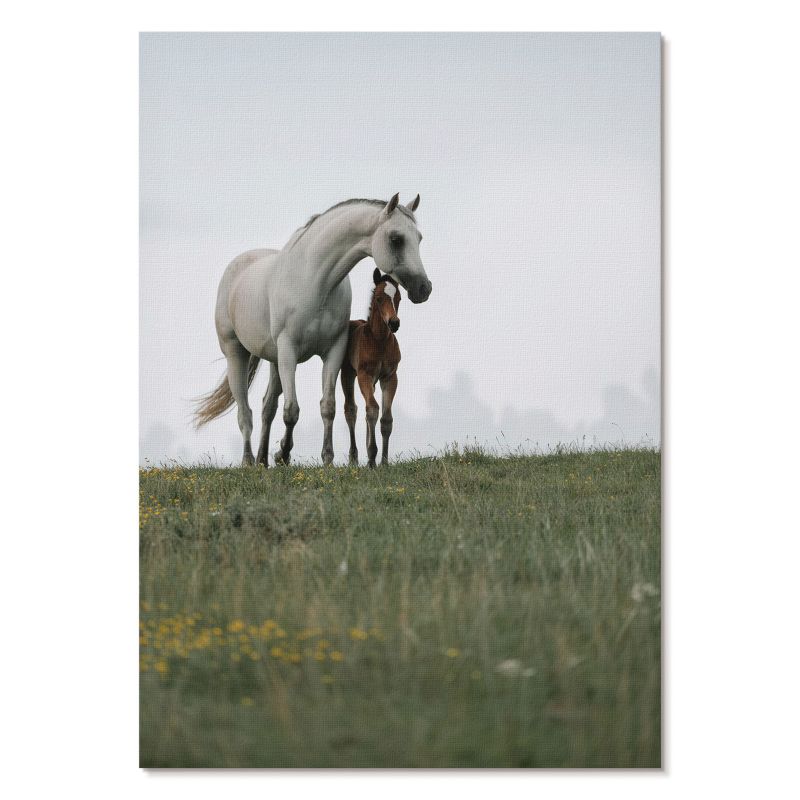 Nowoczesny Plakat na Płótnie Tulup 59,4,x84 cm (A1) Konie na łące Do sypialni, salonu, biura 1 szt.