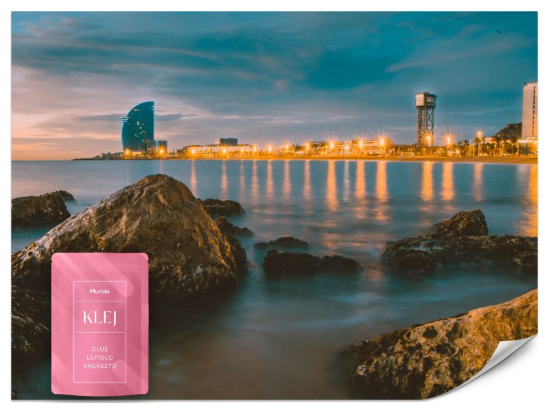 Fototapeta Muralo Wybrzeże Barcelony Nocą Do Sypialni 450x315 cm 1szt.