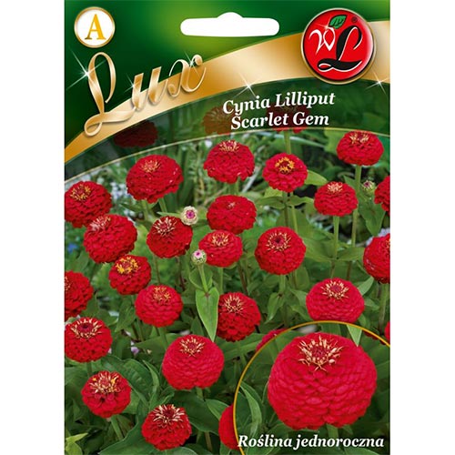 1 szt, Cynia wytworna Liliput Scarlet Gem - Nasiona: Ilość w opakowaniu: 0.5 g