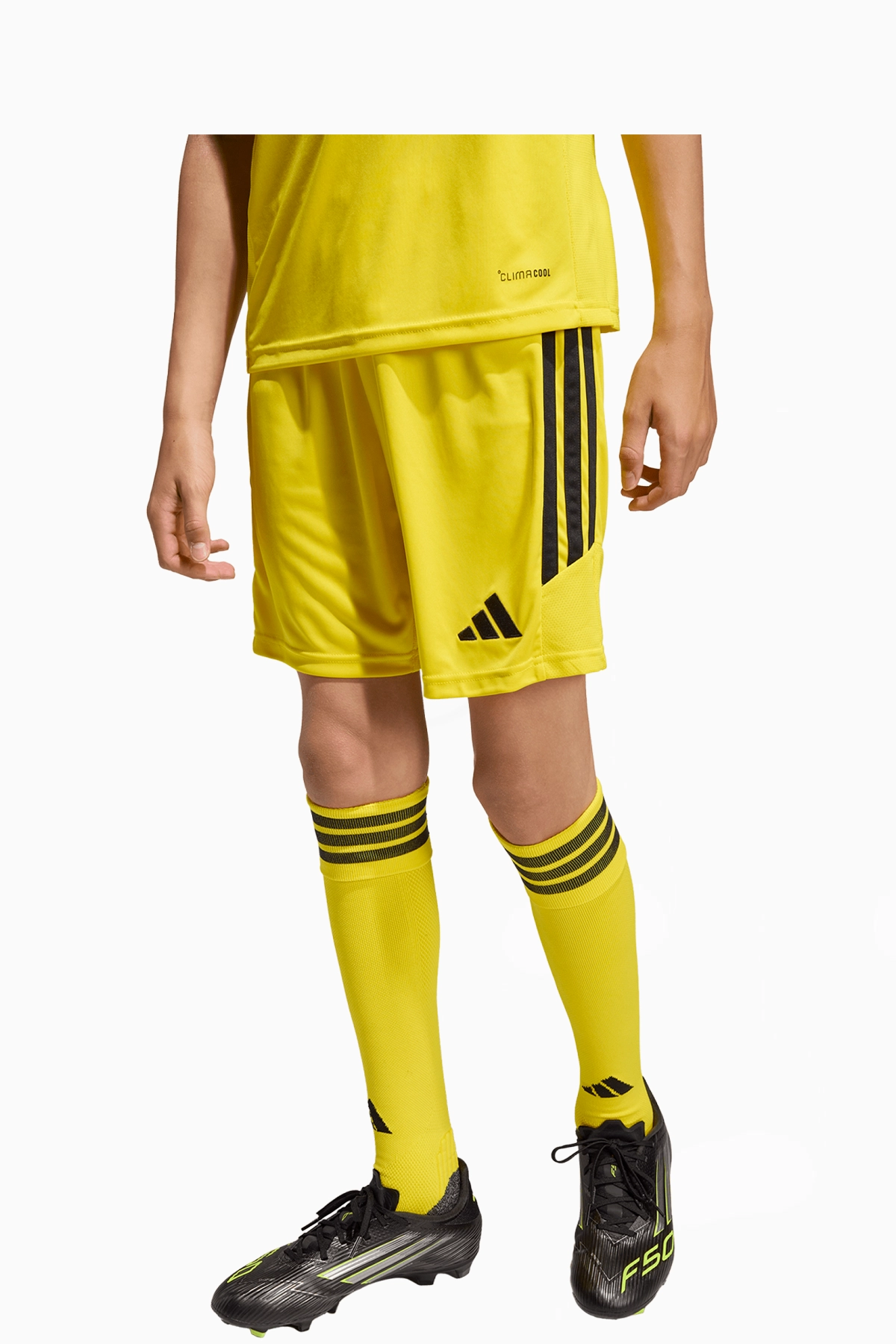 Spodenki adidas Tiro 26 League Junior - Żółty
