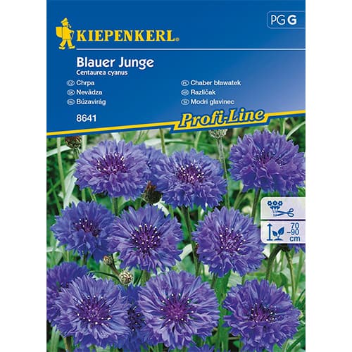 1 ob, Chrpa modrá Blauer Junge - : Monžstvo balíkov: 1 ob
