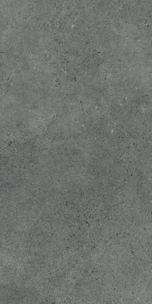 Paradyż Authority Graphite płytka ścienno-podłogowa 119,8x59,8 cm grafitowa