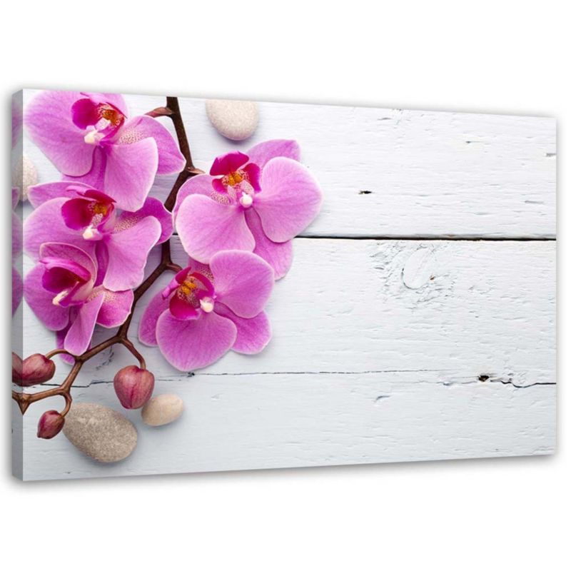 Obraz na płótnie Feeby Różowa orchidea i pąki 60x40cm 1szt