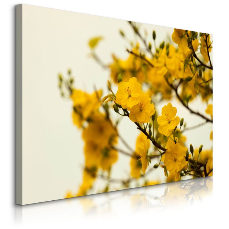 Obraz Muralo Na Płótnie Żółte Kwiaty Natura Przyroda 90x60 cm 1 szt.