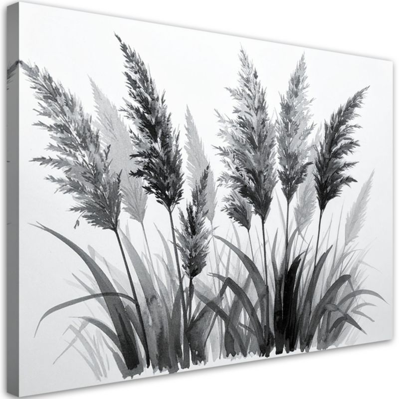 Obraz czarno biały do salonu jadalni biura Feeby Trawy pampasowe 60x40cm 1szt