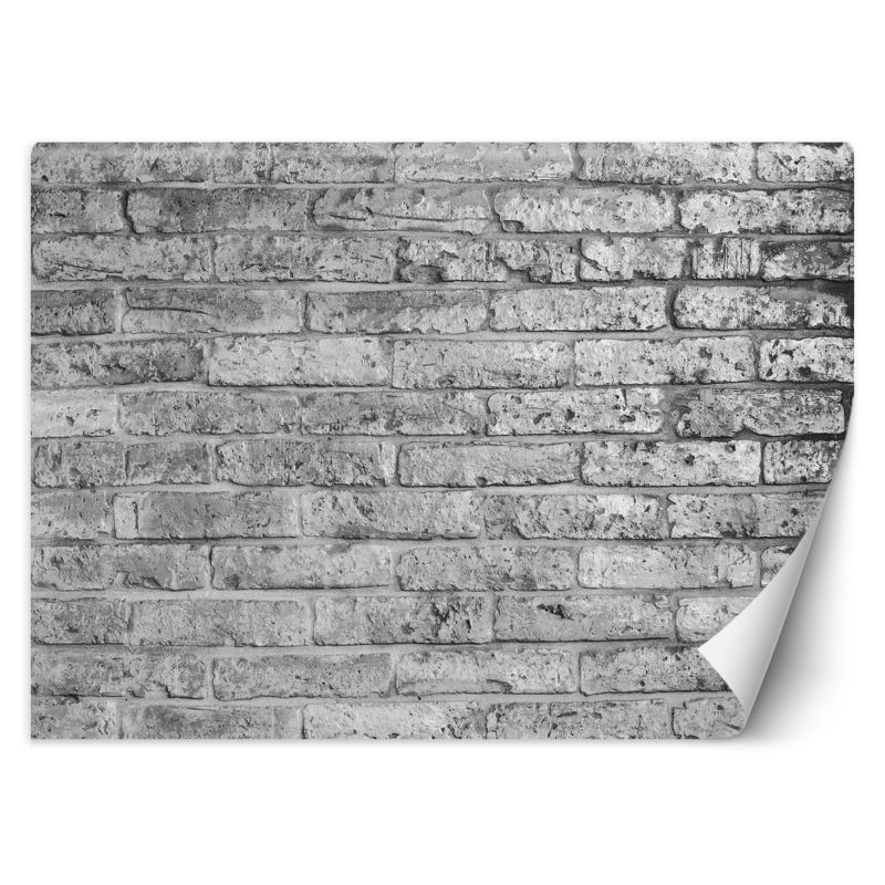Fototapeta Feeby Mur z szarych cegieł 200x140 1 szt