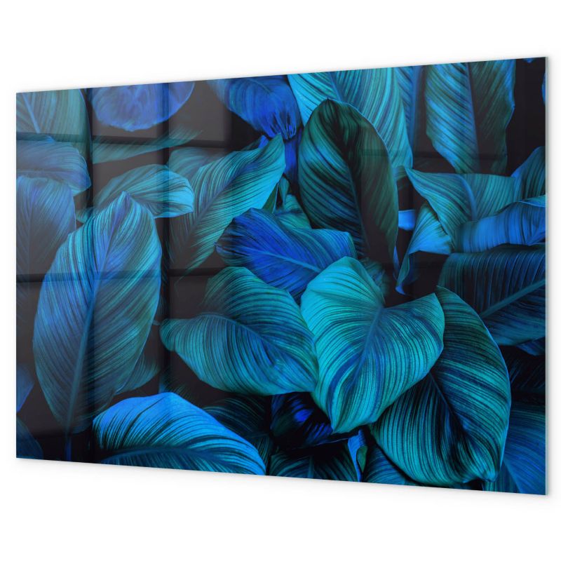 Tablica Magnetyczna Tulup 60x40 cm Natura tropikalna Na notatki i zdjęcia 1 kpl