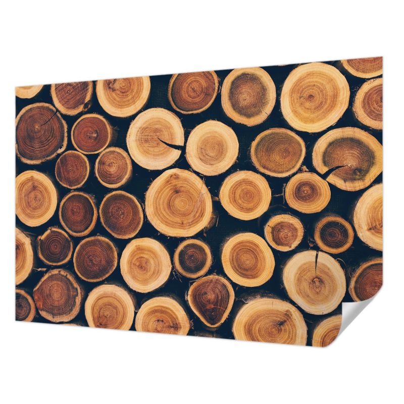Tapeta samoprzylepna Tulup 152x104 cm Drewniane kręgi Tapeta Do Salonu, Sypialni, Przedpokoju 1 szt.