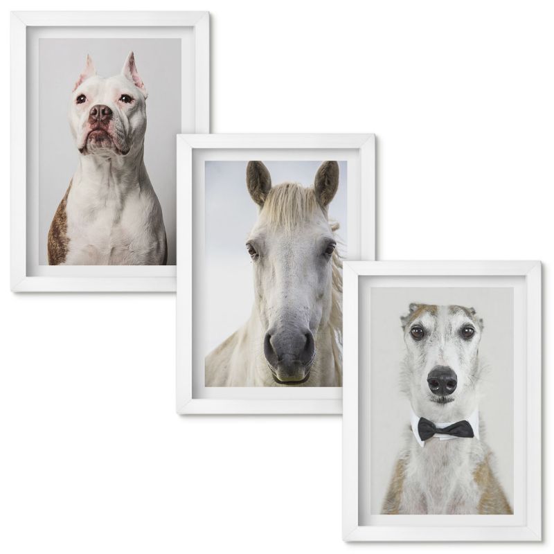 Obrazy Do Sypialni Wallfluent Portrety psów i koni elegancko Biała rama 20x30cm 3 szt.