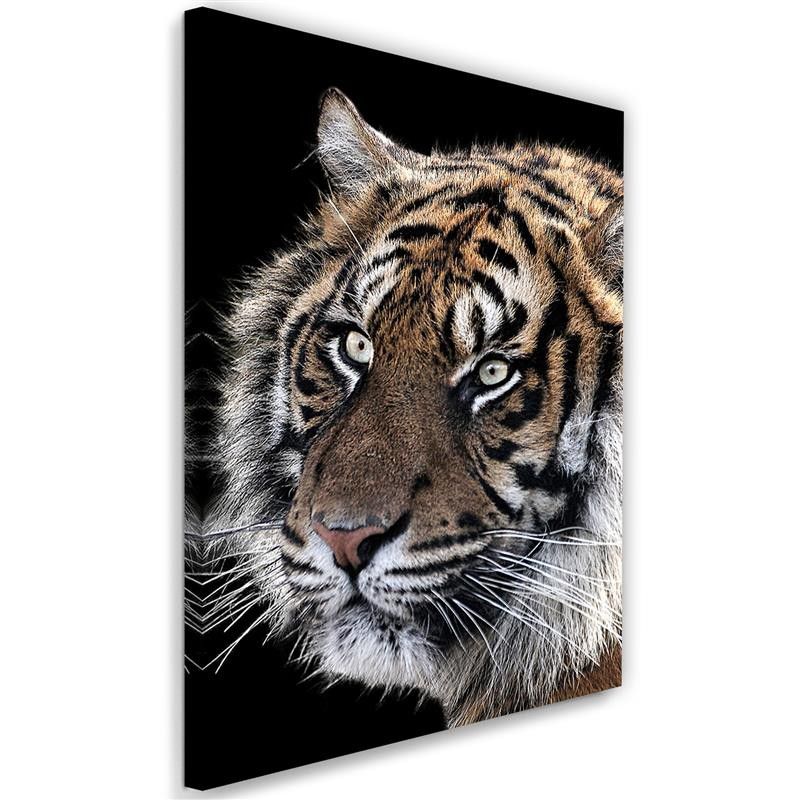 Obraz na płótnie Feeby Tygrys na czarnym tle 80x120cm 1szt