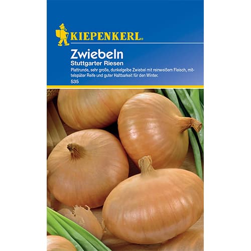 1 szt, Cebula zolta Stuttgarter Riesen - Nasiona: Ilość w opakowaniu: 650 szt.