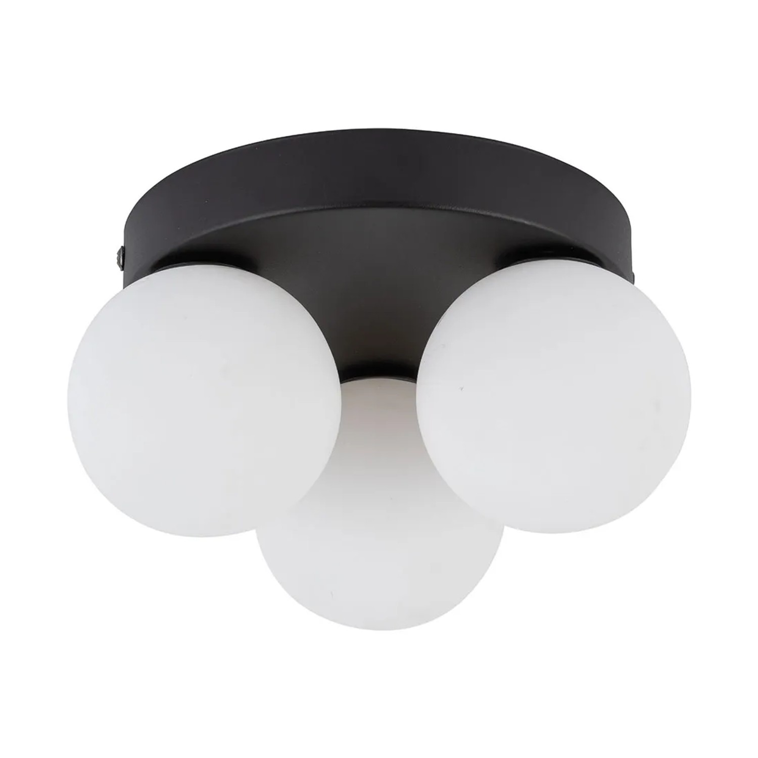 TK Lighting Lampa sufitowa MINI 3x6W G9 czarna z białymi kloszami