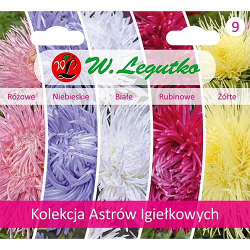 1 szt, Kaktusz típusu őszirózsa gyűjtemény, 5 fajtát tartalmazó csomag - Magok: Mod de ambalare: 1 db
