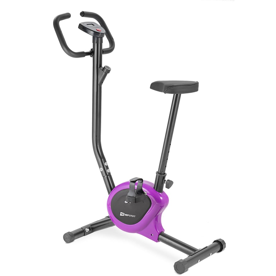 Heimtrainer HS-010H Rio Violett