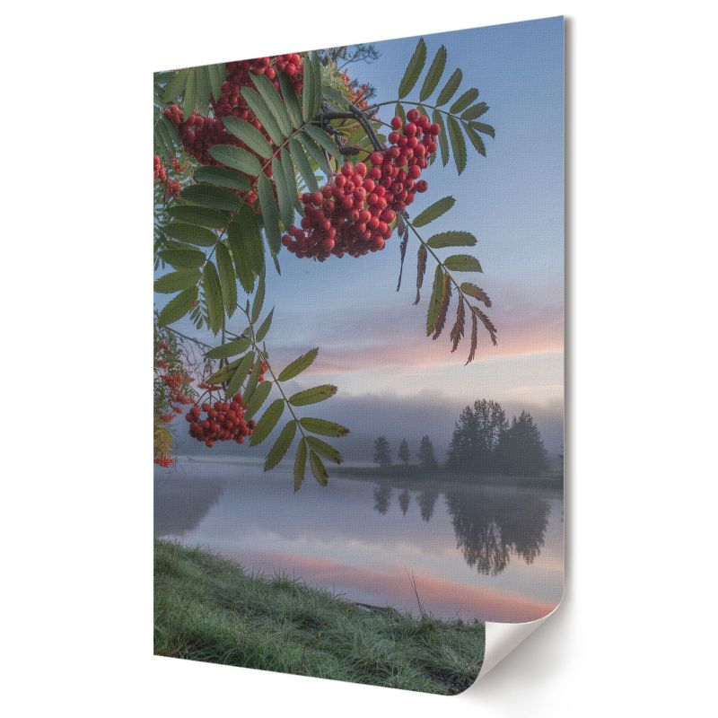 Plakat na ścianę Wallfluent Format A3 Natura o poranku Artysta And 1 szt.