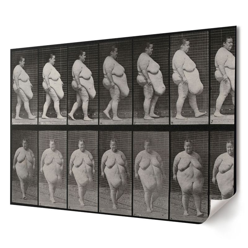 Plakat Wallfluent Format A2 Otyła kobieta Artysta Eadweard Muybridge 1 szt.