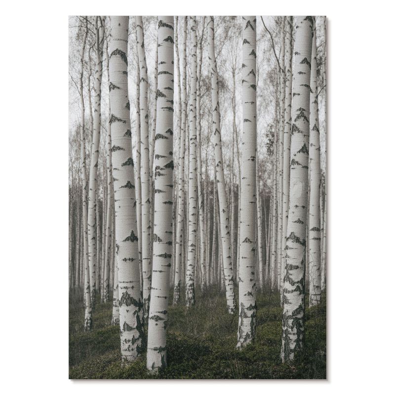Plakat na Płótnie Tulup 42x59,4 cm (A2) Brzozy i spokój Do salonu, sypialni, biura 1 szt.
