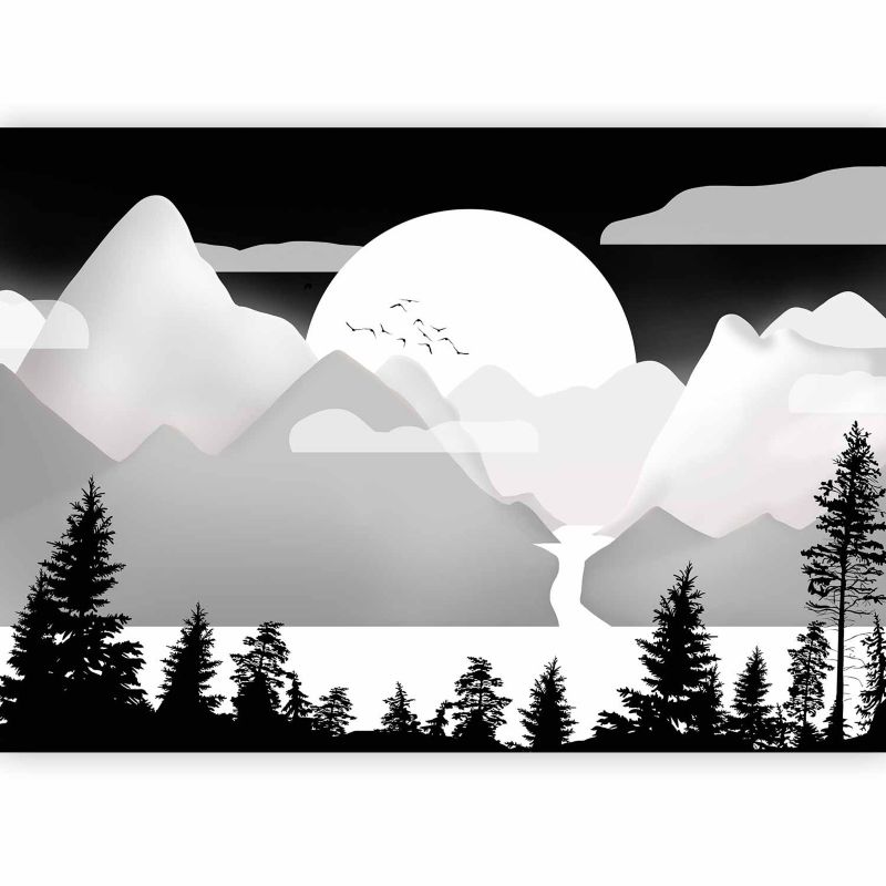 Fototapeta flizelinowa Artgeist 170 g/m2 wodoodporna Dla dzieci czarna 300x210 (6 części) 10015ab rolka 1 szt